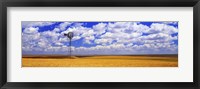 Framed Windmill Wheat Field, Othello, Washington State, USA