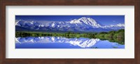 Framed Alaska Range, Denali National Park, Alaska, USA