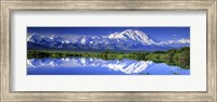 Framed Alaska Range, Denali National Park, Alaska, USA