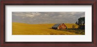 Framed Barn in a wheat field, Palouse, Washington State, USA