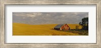Framed Barn in a wheat field, Palouse, Washington State, USA