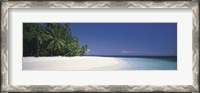 Framed White Sand Beach Maldives