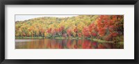 Framed Savoy Mountain State Forest, Massachusetts, USA