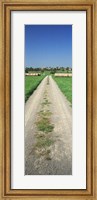 Framed Germany, Hay bales along a road