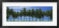 Framed Palms & lagoon Aitutaki Cook Islands