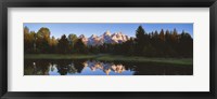 Framed Beaver Pond Grand Teton National Park WY