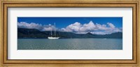 Framed Sailboat in a bay, Kaneohe Bay, Oahu, Hawaii, USA