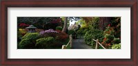 Framed Japanese Tea Garden, San Francisco, California, USA