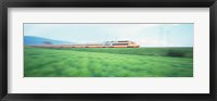 Framed TGV High-speed Train passing through a grassland