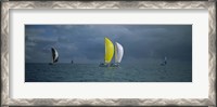 Framed Sailboat race Key West, Florida