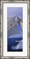 Framed Low angle view of a sailboat's mast