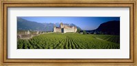 Framed Vineyard in front of a castle, Aigle Castle, Musee de la Vigne et du Vin, Aigle, Vaud, Switzerland