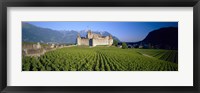 Framed Vineyard in front of a castle, Aigle Castle, Musee de la Vigne et du Vin, Aigle, Vaud, Switzerland