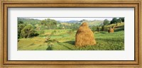 Framed Farm, Transylvania, Romania