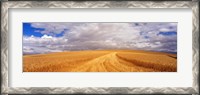 Framed Wheat Field, Washington State, USA