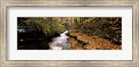 Framed Buttermilk Creek, Ithaca, New York State, USA