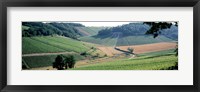 Framed France, Chablis, vineyards