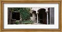 Framed Ivy on the wall of a house, Girona, Spain