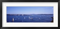 Framed Yachts in the bay, Sydney Harbor, Sydney, New South Wales, Australia