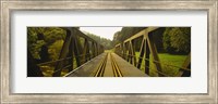 Framed Railroad tracks passing through a bridge, Germany