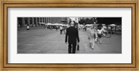 Framed Rear view of a businessman walking on the street, Stuttgart, Germany