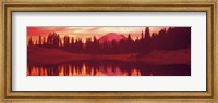 Framed Reflection of trees in water, Tipsoo Lake, Mt Rainier, Mt Rainier National Park, Washington State, USA