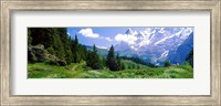 Framed Alpine Scene Near Murren Switzerland