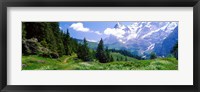 Framed Alpine Scene Near Murren Switzerland