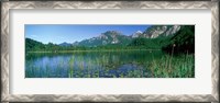 Framed Alpsee Bavaria Germany