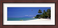 Framed White Sand Beach Penang Malaysia