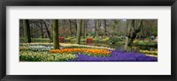 Framed Keukenhof Garden Lisse The Netherlands