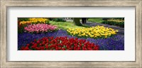 Framed Colorful flower beds, Keukenhof Garden, Lisse, The Netherlands