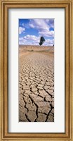 Framed Drought, Australia