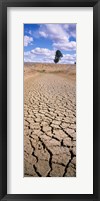 Framed Drought, Australia
