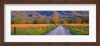 Framed Road At Sundown, Cades Cove, Great Smoky Mountains National Park, Tennessee, USA