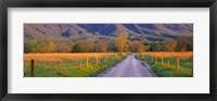 Framed Road At Sundown, Cades Cove, Great Smoky Mountains National Park, Tennessee, USA