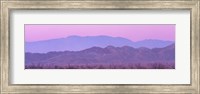 Framed Desert At Sunrise, Anza Borrego California, USA
