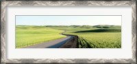 Framed Gravel Road Through Barley and Wheat Fields WA