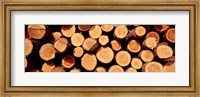 Framed Logs