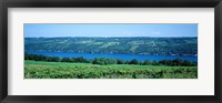 Framed Vineyard with a lake in the background, Keuka Lake, Finger Lakes, New York State, USA