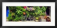 Framed Bicycle In Front Of Wall Covered With Plants And Flowers, Rochefort En Terre, France