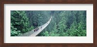 Framed Capilano Bridge, Suspended Walk, Vancouver, British Columbia, Canada