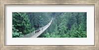 Framed Capilano Bridge, Suspended Walk, Vancouver, British Columbia, Canada