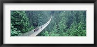 Framed Capilano Bridge, Suspended Walk, Vancouver, British Columbia, Canada