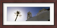 Framed Low angle view of a palm tree near a church , Ios, Cyclades Islands, Greece