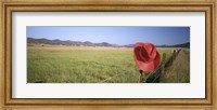 Framed USA, California, Red cowboy hat hanging on the fence