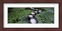 Framed Water Lilies In A Pond, Helan Shrine, Kyoto, Japan