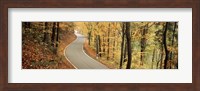 Framed Autumn trees along a road, Germany