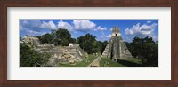 Framed Ruins Of An Old Temple, Tikal, Guatemala