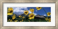 Framed Low Angle View Of Mountains, Montana, USA